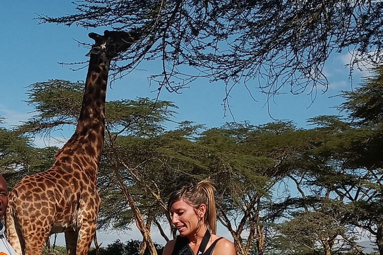 Nairobi National Park, Elephant Sanctuary and Giraffe Center