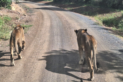 Nairobi National Park, Elephant Sanctuary and Giraffe Center