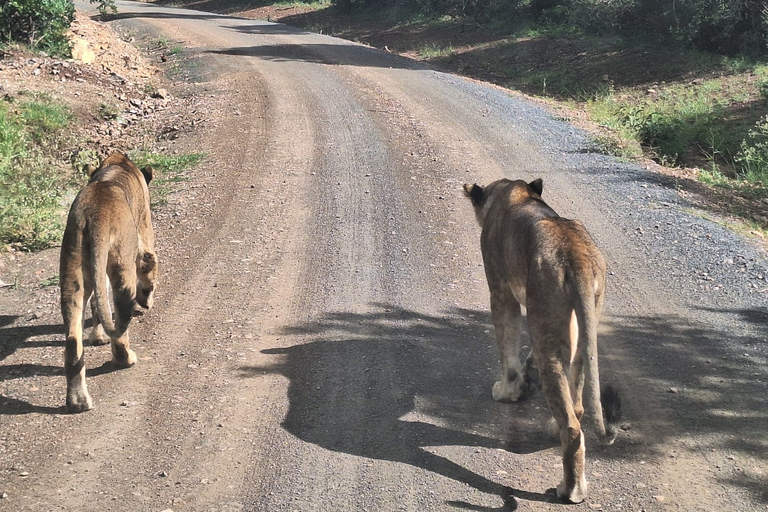 Nairobi National Park, Elephant Sanctuary and Giraffe Center