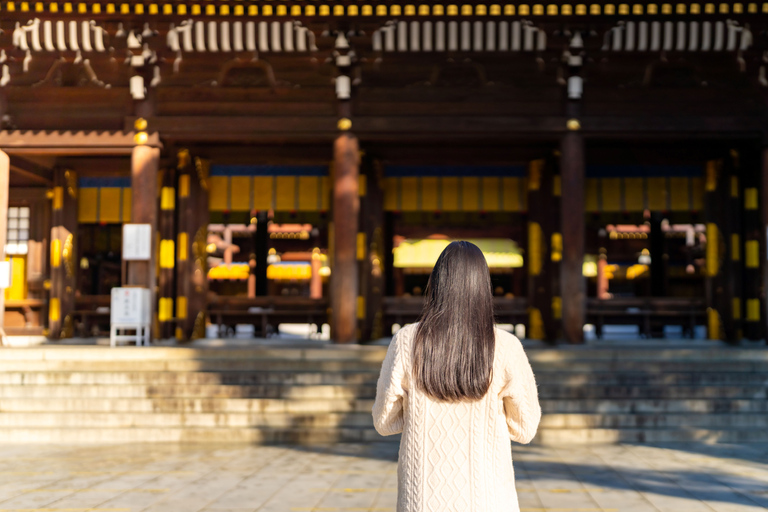 Tokyo: Servizio fotografico privato al Santuario Meiji e al Parco YoyogiVIP (50 foto modificate professionalmente)