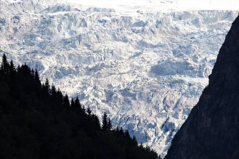 Voss: Guided Fjord &amp; Glacier Tour to Fjærland