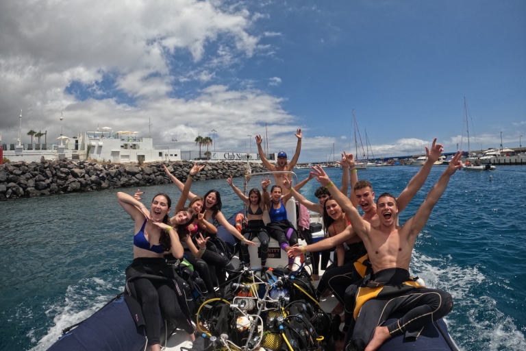 Tenerife : Essayez la plongée pour les débutants dans la zone des tortuesEssai de plongée pour les débutants dans la région des tortues