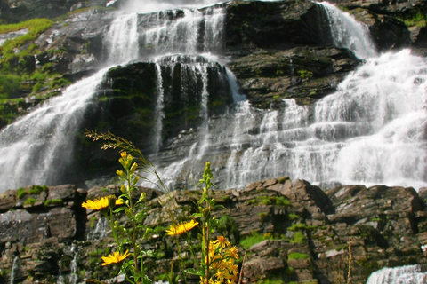 Voss: Excursão guiada pelos fiordes e geleiras para FjærlandVoss: Tour guiado pelos fiordes e geleiras de Fjærland