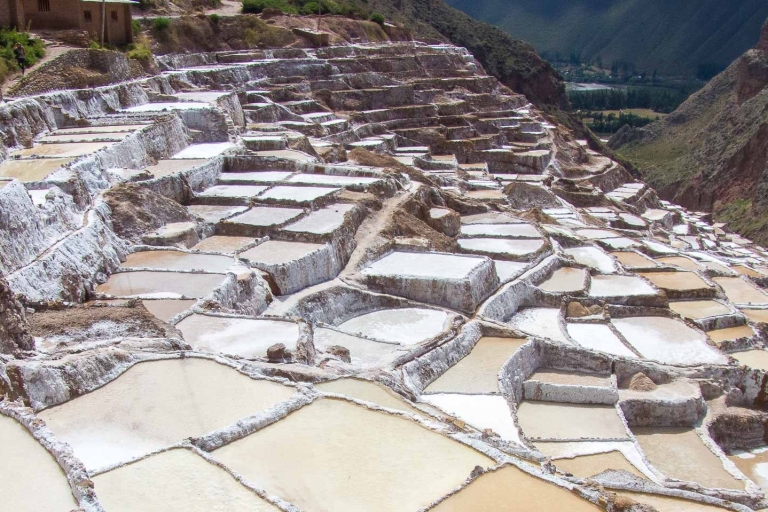 Cusco: Moray und Salineras (Salzminen) Quad Bike Tour