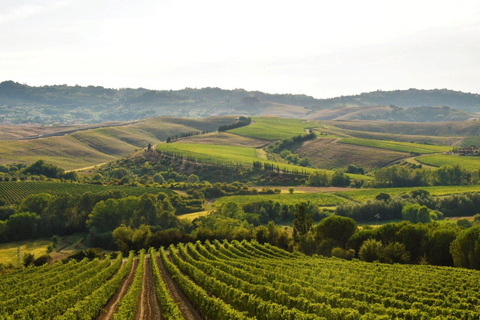 Abbey Tour, Wine Tasting and Light Lunch near Pisa English