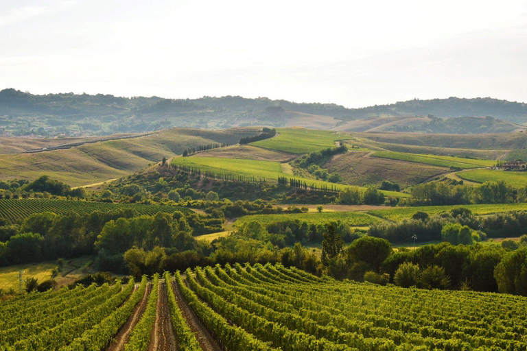 Abbey Tour, Wine Tasting and Light Lunch near Pisa English