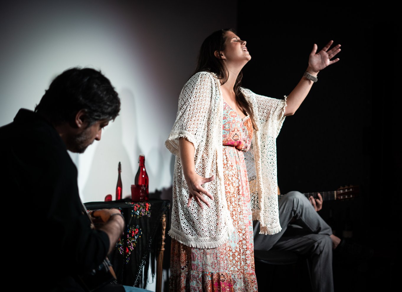 Porto: Hvad er fado? Livekoncert med kommentarer og portvin