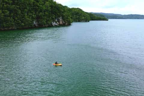 Samana: Private Los Haitises Expedition Höhlen & Mangroven