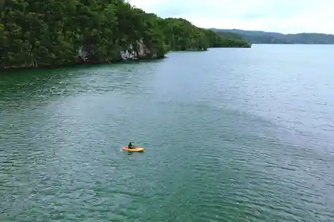 Samana: Private Los Haitises Expedition Caves & Mangroves