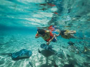 Cozumel: Bucea con tubo y nada con rayas