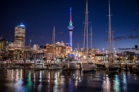 Sky Tower Auckland : Billet d'entrée générale