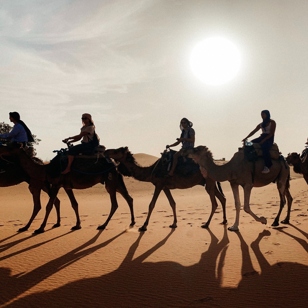 De Marrakech à Fès : 3 jours d'aventure dans le désert via Merzouga - dromadaire