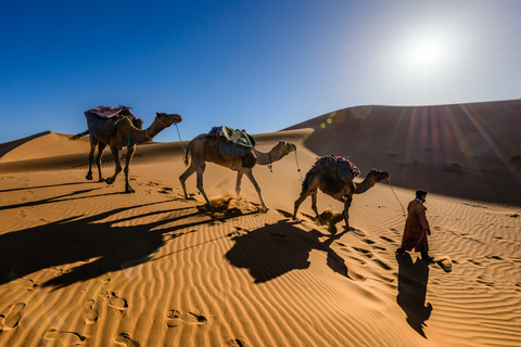 Marrakech to Fes: 3-Day Desert Adventure via Merzouga Standard desert camp tent