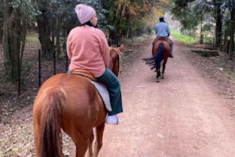 Van Colonia del Sacramento: ervaring met paardrijden