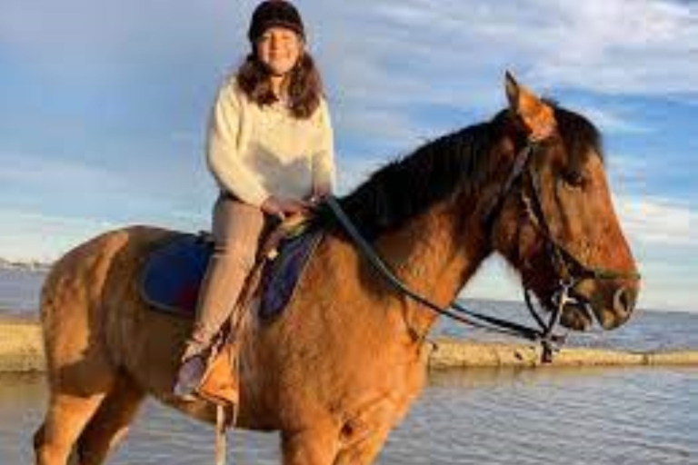 From Colonia del Sacramento: Horse Ride Experience
