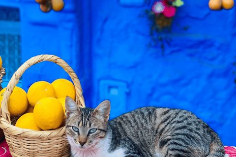 Il miglior tour di un giorno a Chefchaouen da FezGita di un giorno da Fes a Chefchaouen - Pacchetto Premium