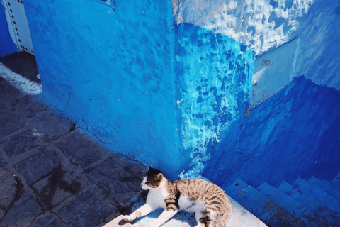 Melhor excursão de um dia a Chefchaouen saindo de FezViagem diurna de Fes a Chefchaouen - Pacote Premium