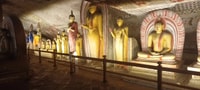 De Colombo, à Sigiriya & Dambulla Visite d'une journée - Hizvo