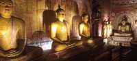 De Colombo, à Sigiriya & Dambulla Visite d'une journée - Hizvo