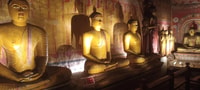De Colombo, à Sigiriya & Dambulla Visite d'une journée - Hizvo