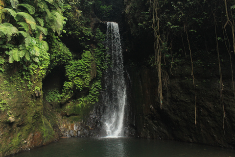 Bali Kanotpaddling: Springs kanjon