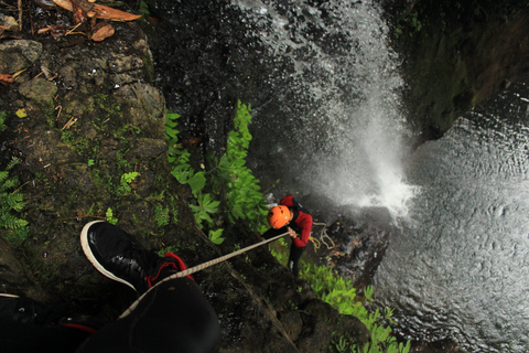 Barranquismo en Bali: Cañón del Manantial