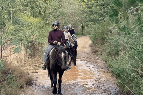 Franschhoek: Excursión de un día completo a caballo y cata de vinos