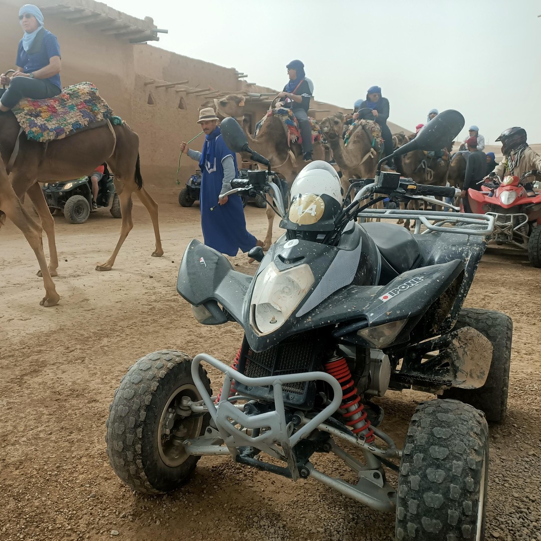 Excursión en camello y quad por el desierto de Agafay con almuerzo - quad