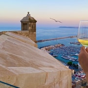 Alicante: Santa Bárbara Castle Wine Tasting & Tapas