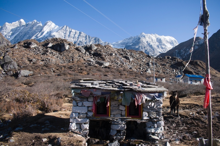 Nepal: Trekking Doliną Langtang