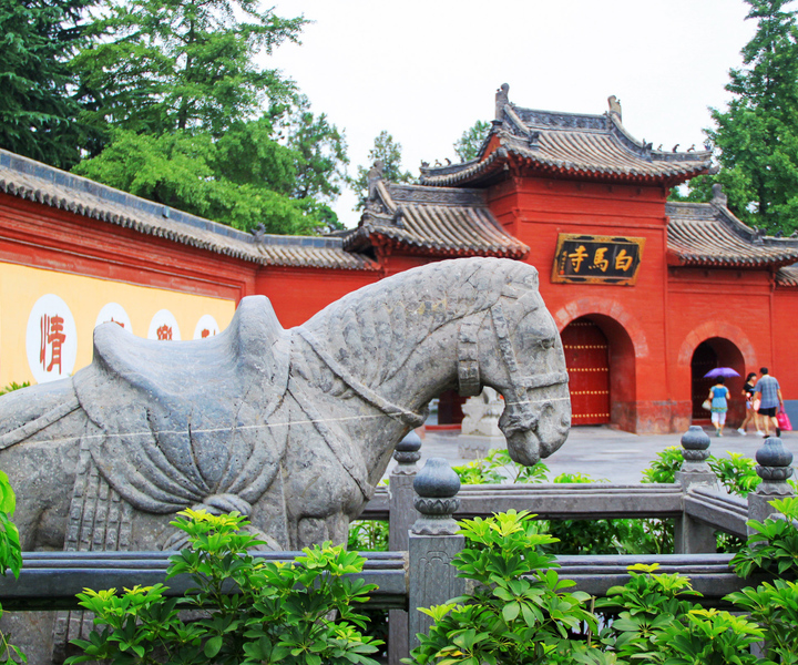 Luoyang Classic Day Tour Longmen Grottoes Old Twon Explore