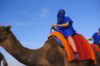 Marrakech, pack quad and camel ride in the palm grove - Housity