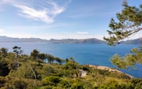 Van Port d'Alcudia, 2-uurs sightseeing quad tour - Housity