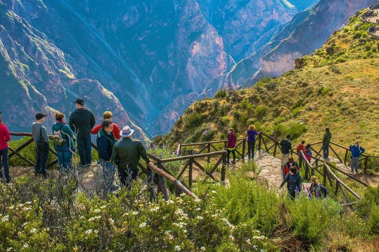 Colca Canyon Day Trip from Arequipa Departure 8:00 am