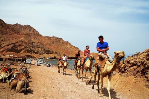 Baie de Makadi : Safari en quad, village bédouin et promenade à dos de chameau