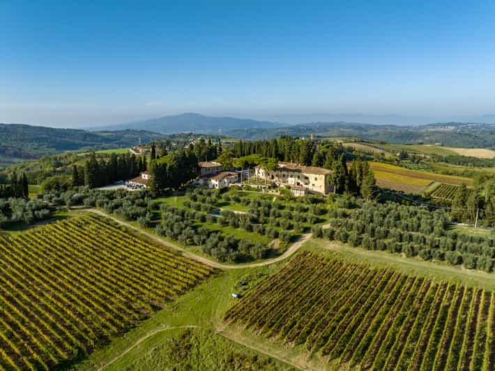 Montespertoli: Poggio Capponi Farm Chianti Wine Tour 