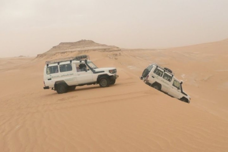 Makadi: quad-, jeep-, kameel- en buggysafari met barbecuediner