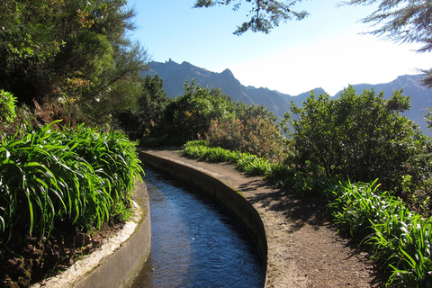 Levada Boa Morte - Quinta Grande Half day - Easy WalkLevada Boa Morte - Quinta Grande