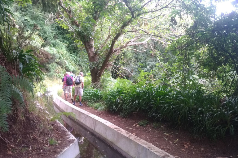 Levada Boa Morte - Quinta Grande Half day - Easy WalkLevada Boa Morte - Quinta Grande