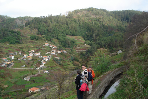 Levada Boa Morte - Quinta Grande Half day - Easy WalkLevada Boa Morte - Quinta Grande