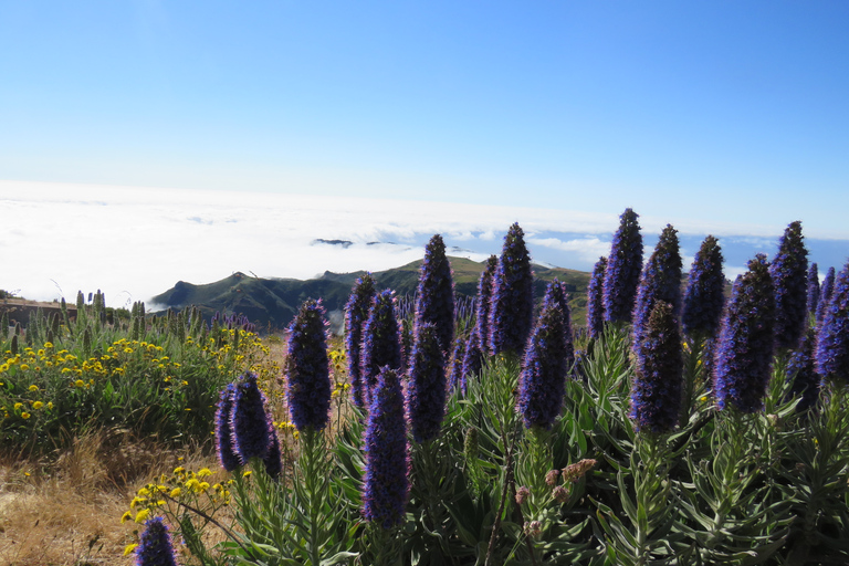 PR1 Guided Hike from Pico do Arieiro to Pico Ruivo