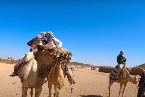 Sahl Hasheesh: ATV-quadsafari, bedoeïenendorp en kameelrit