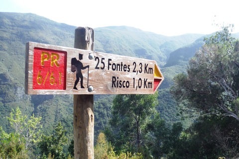 Madeira: Rabaçal, Risco and 25 Fontes Guided Hiking Tour