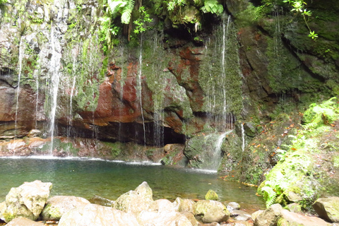 Madeira: Rabaçal, Risco and 25 Fontes Guided Hiking Tour