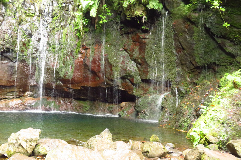 Madeira: Rabaçal, Risco and 25 Fontes Guided Hiking Tour