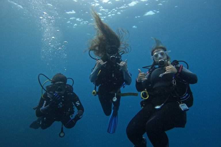 Tenerife: Diving for Certified divers