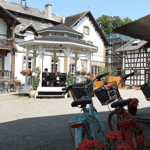 Strasburgo: tour in bici con guida, bici incluse