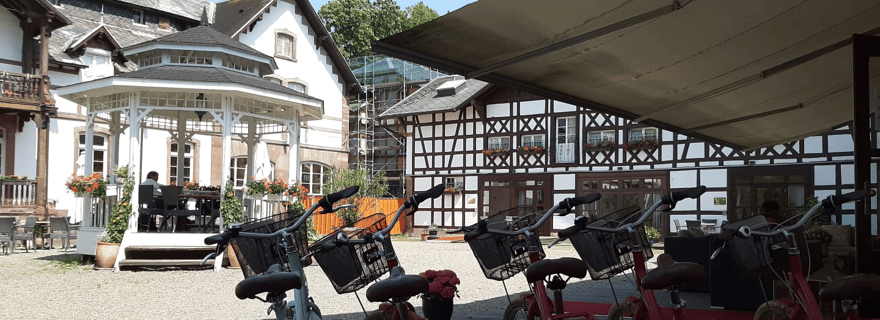Strasburgo: tour in bici con guida, bici incluse