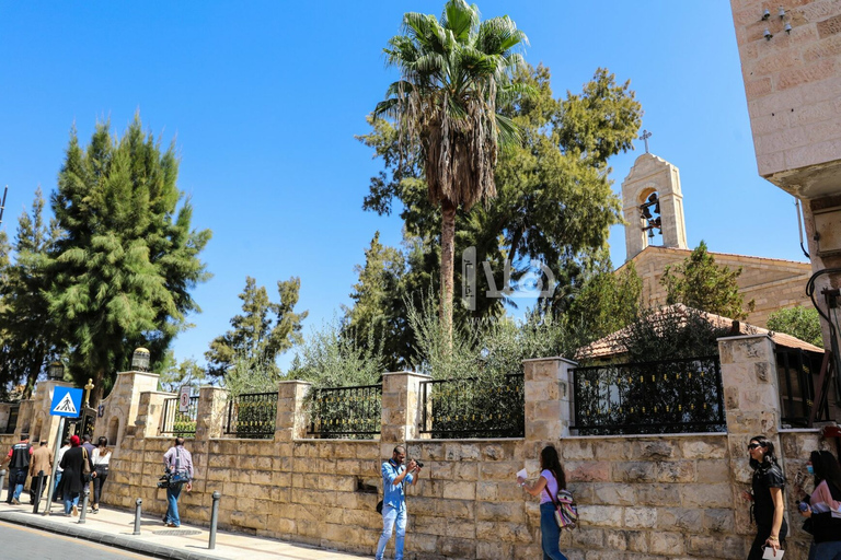 One day tour to Madaba and the Dead Sea