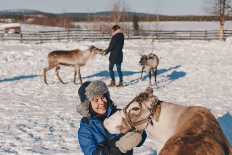 Vanuit Abisko/Björkliden: Bezoek de Sami &amp; rendieren in Kiruna